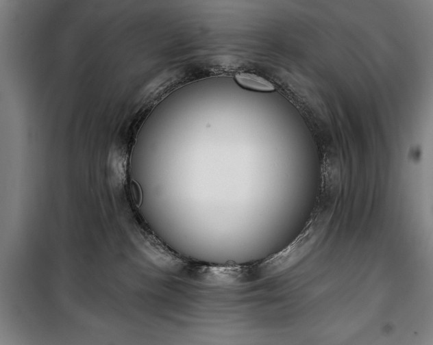 X0000100320188200806121112