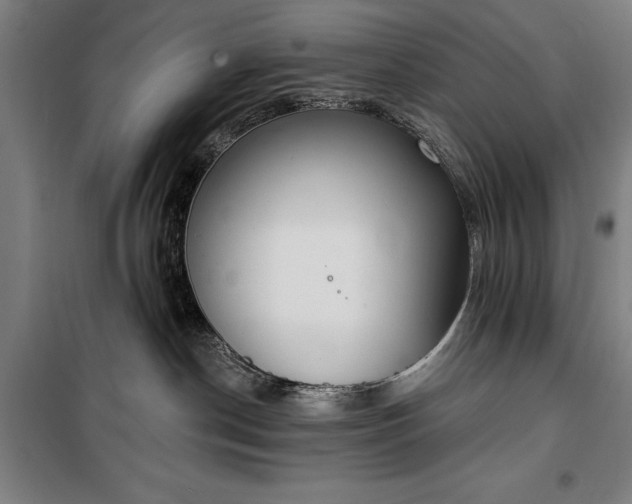 X0000100320190200806121112