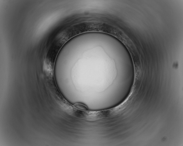 X0000100320191200806121112