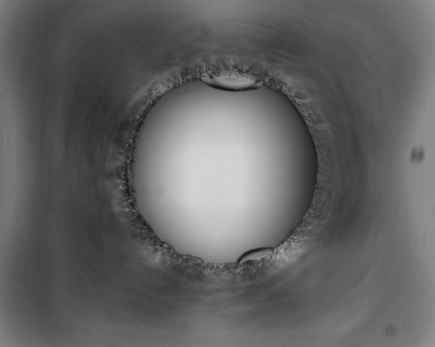 X0000100320192200806121112