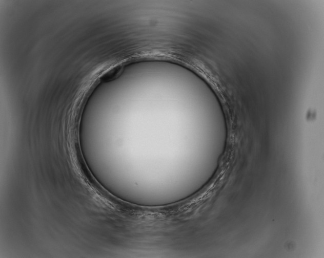 X0000100320193200806121112