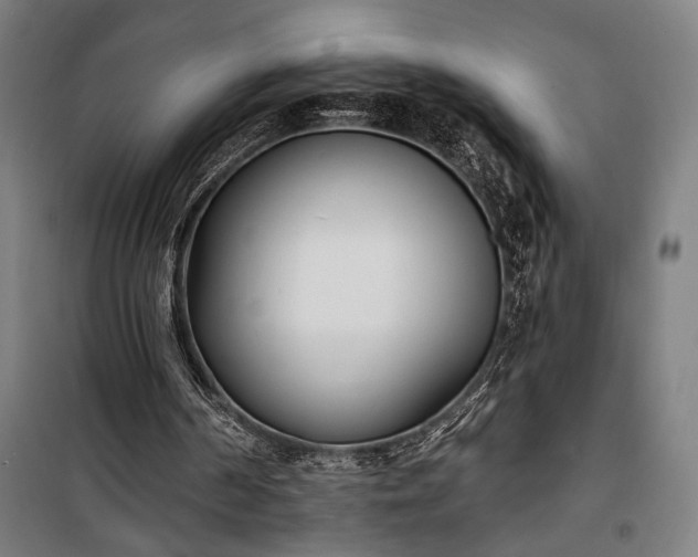 X0000100320194200806121112