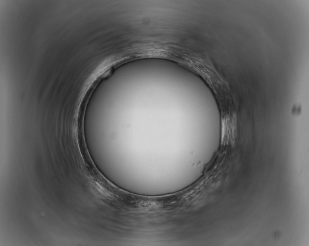 X0000100320195200806121112