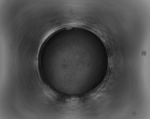 X0000100320196200806121112