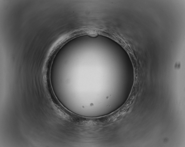 X0000100320197200806121112