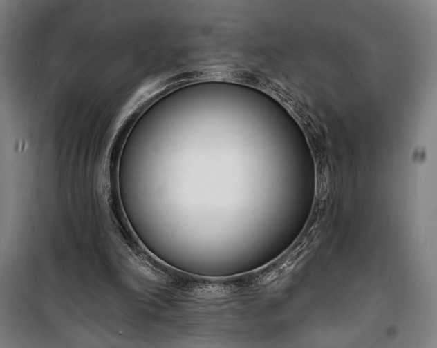 X0000100320198200806121112