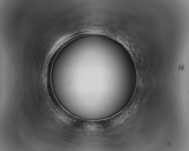 X0000100320199200806121112