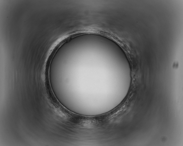 X0000100320200200806121112