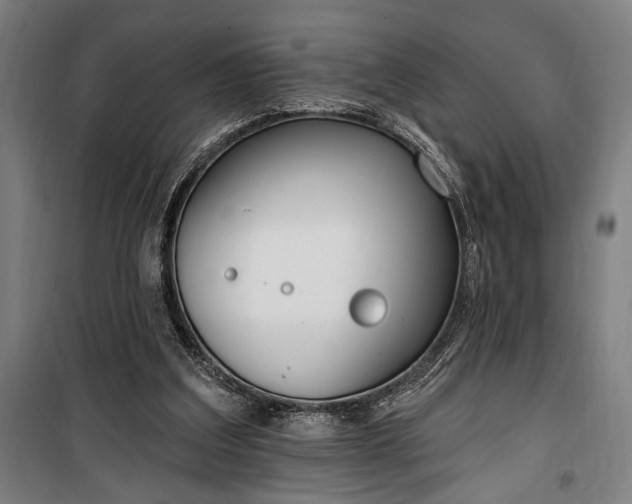 X0000100320203200806121111