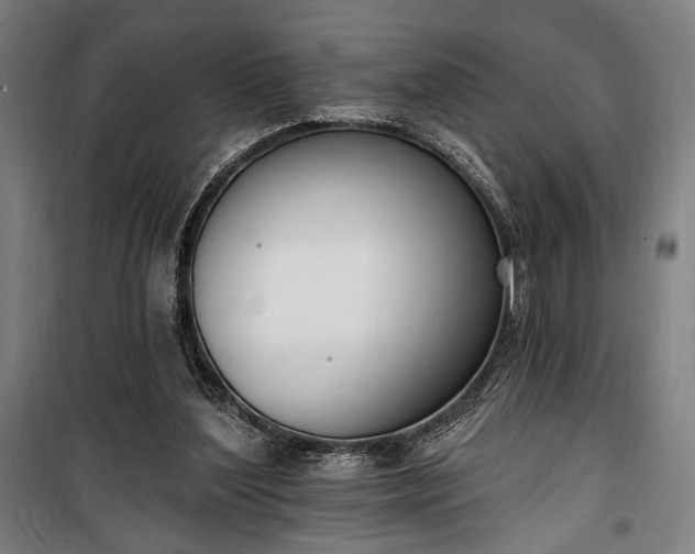 X0000100320204200806121111