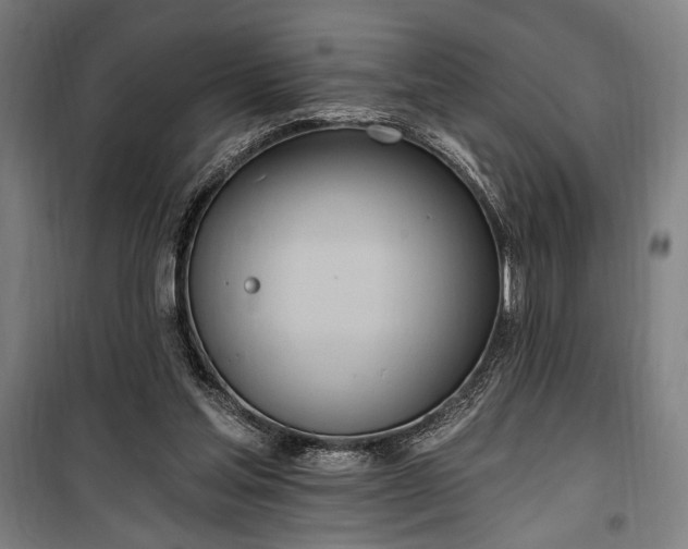 X0000100320205200806121111