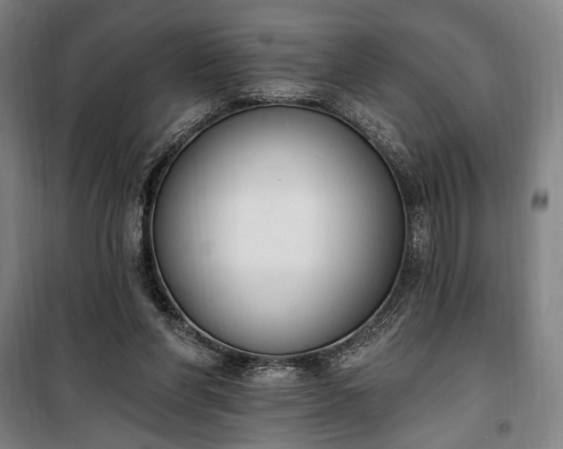 X0000100320206200806121111