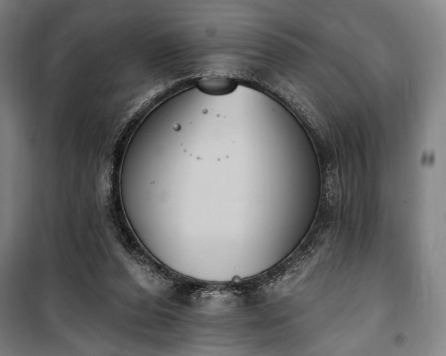 X0000100320208200806121111