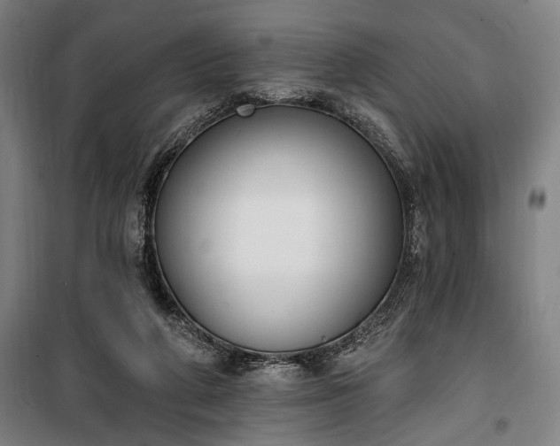 X0000100320210200806121111