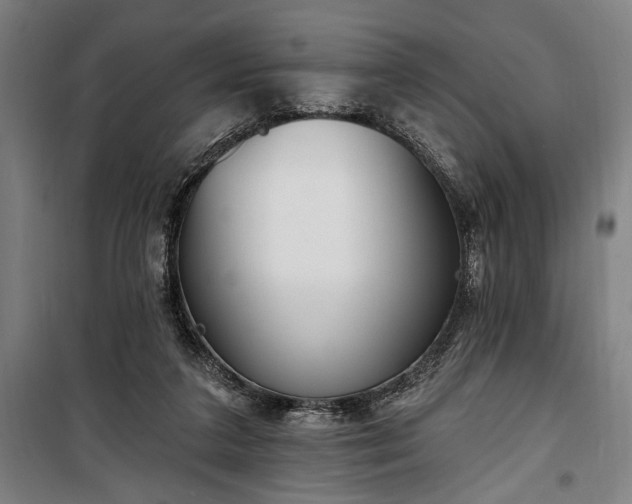 X0000100320211200806121111