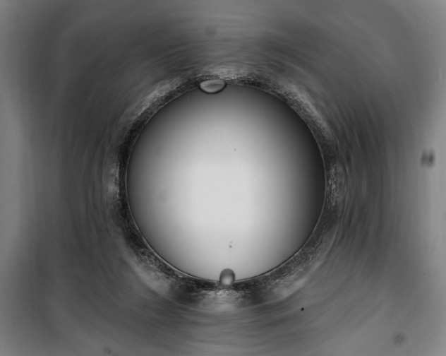 X0000100320212200806121111