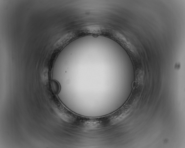 X0000100320213200806121111