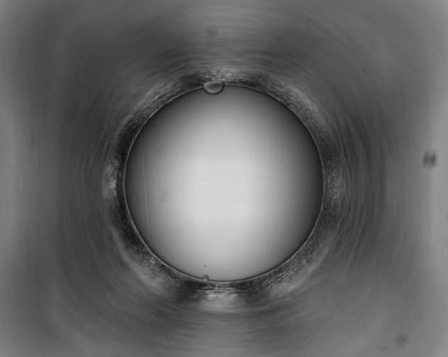 X0000100320214200806121111