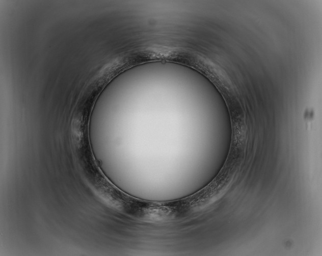 X0000100320215200806121111