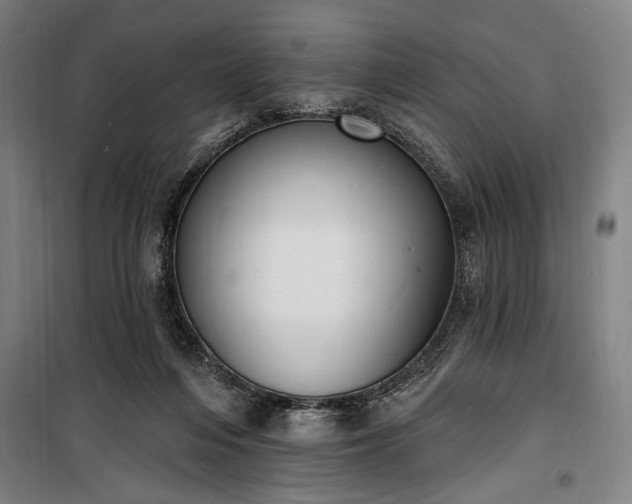 X0000100320216200806121111