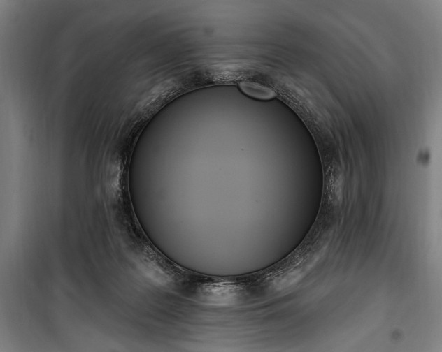 X0000100320219200806121111