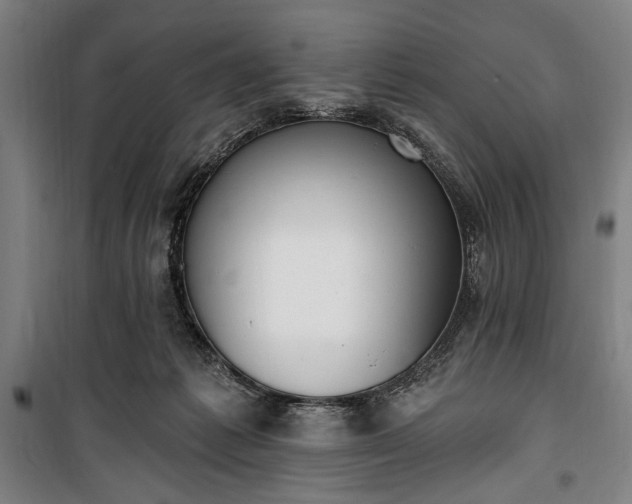 X0000100320221200806121111