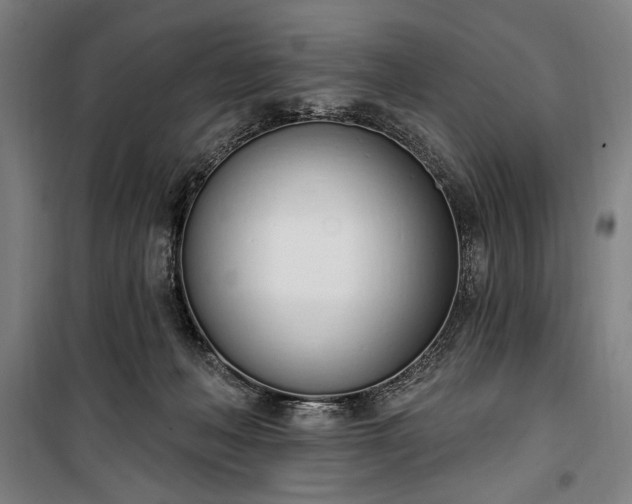 X0000100320222200806121111