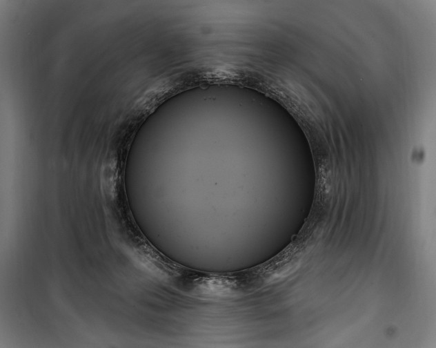 X0000100320223200806121111