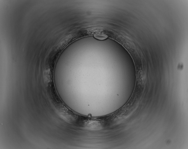 X0000100320224200806121111