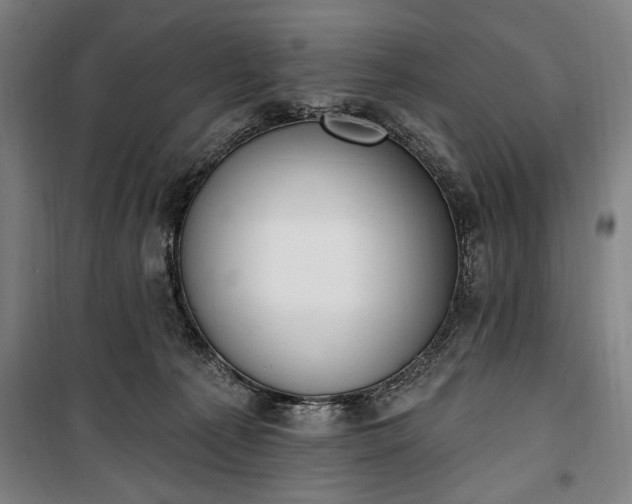 X0000100320225200806121111