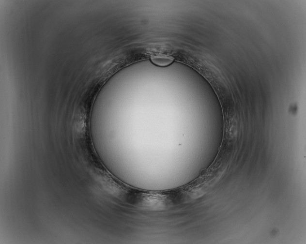 X0000100320226200806121111