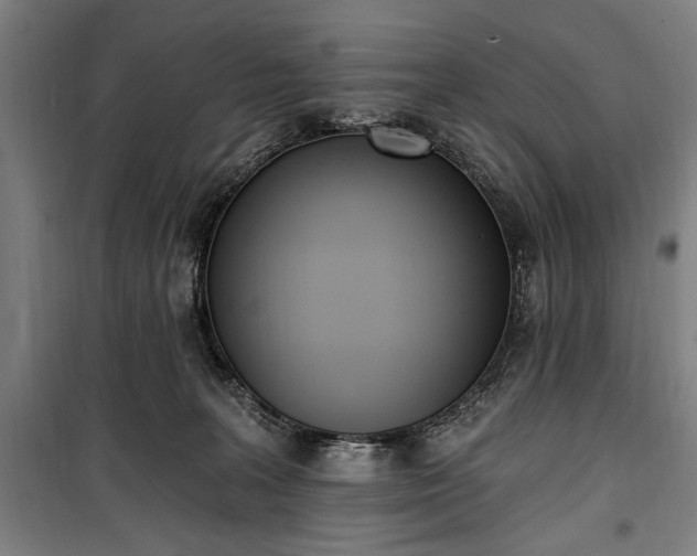 X0000100320227200806121111