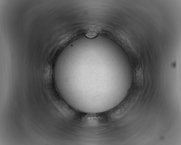 X0000100320228200806121111