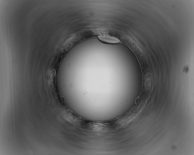 X0000100320229200806121111