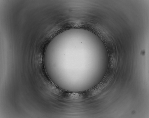 X0000100320230200806121111