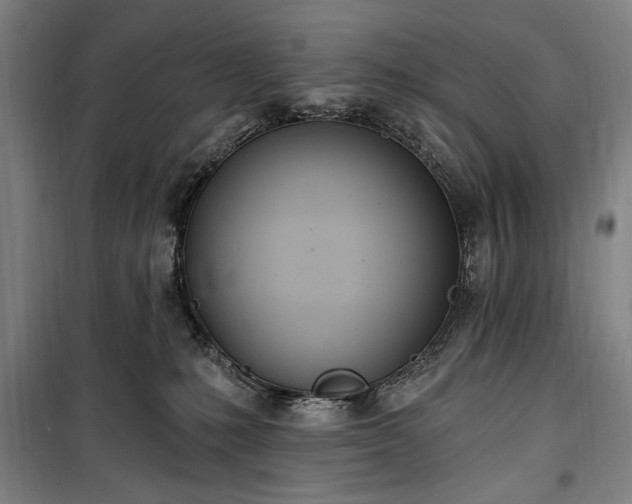 X0000100320231200806121111