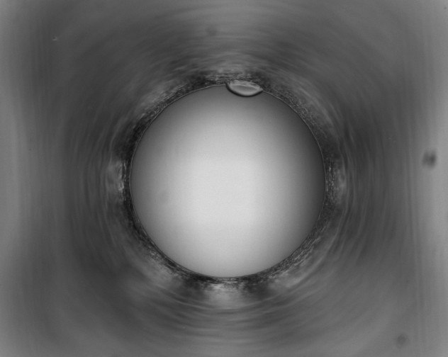 X0000100320232200806121111