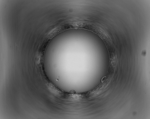 X0000100320233200806121111