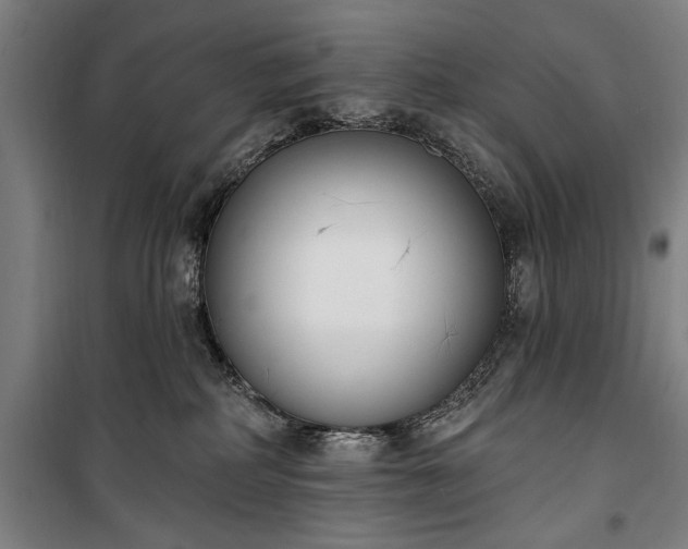 X0000100320234200806121111