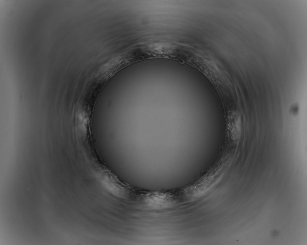 X0000100320235200806121111