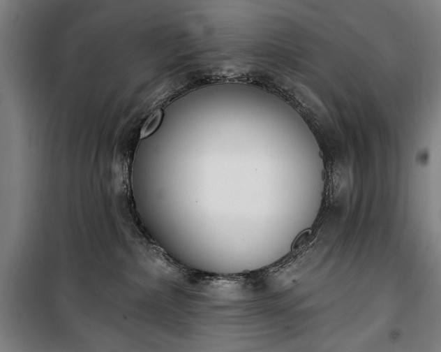 X0000100320236200806121111