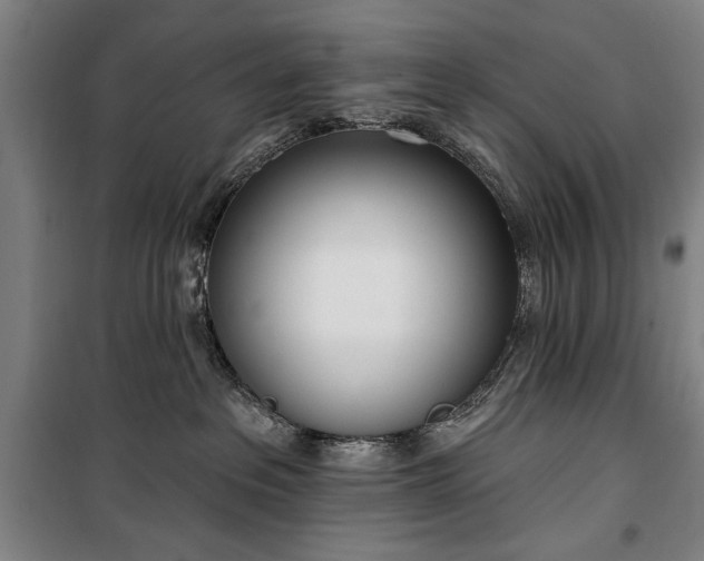 X0000100320237200806121111