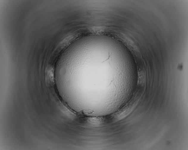 X0000100320238200806121111