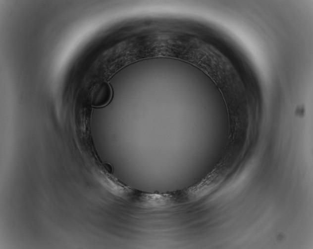 X0000100320239200806121111