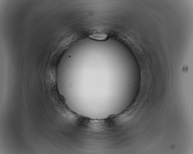 X0000100320240200806121111