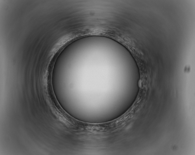 X0000100320242200806121110