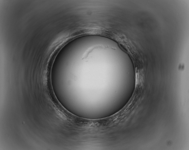 X0000100320243200806121110