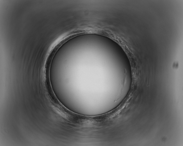 X0000100320246200806121110