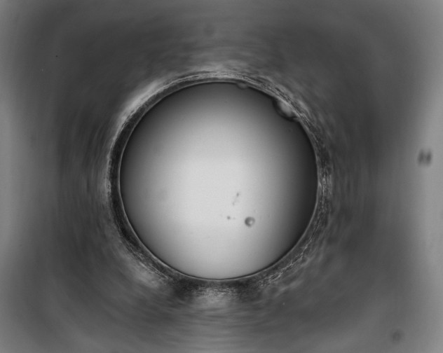 X0000100320248200806121110