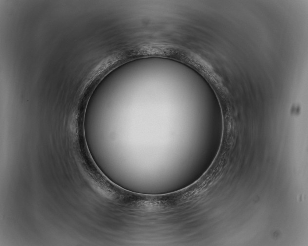 X0000100320250200806121110